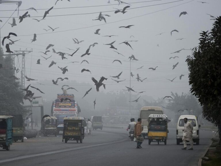 Pakistani province declares health emergency due to smog and locks down two cities