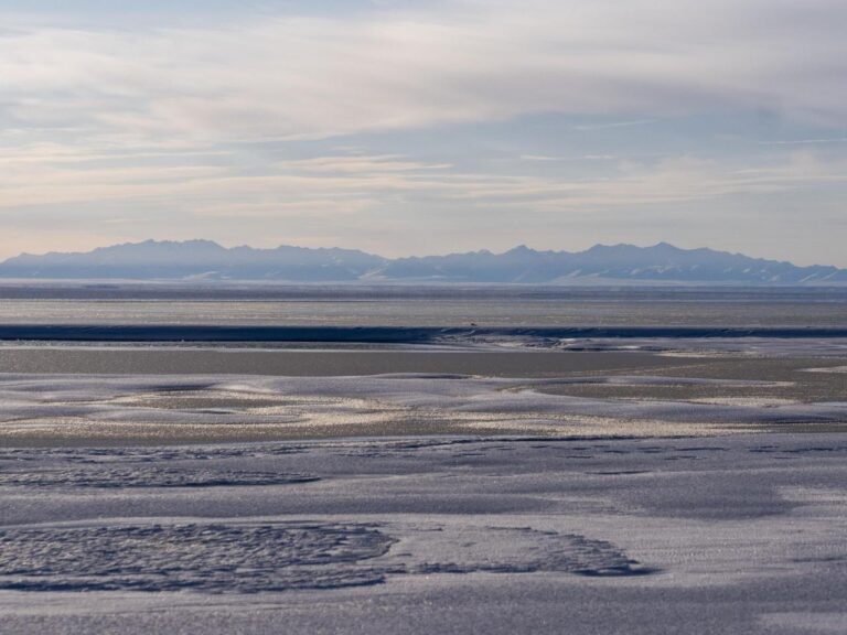 Biden's approval of an oil lease sale will keep the door open to drilling in Alaska's Arctic refuge