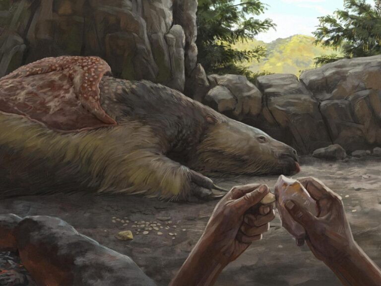 Giant sloths and mastodons coexisted with humans for millennia in Americas, new discoveries suggest