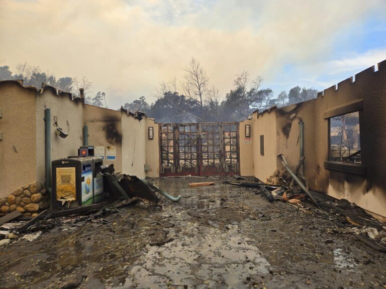 Fires burn Los Angeles schools and destroy outdoor education sanctuaries