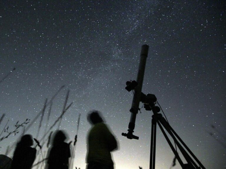 Every planet of our solar system is lining up in the February night sky