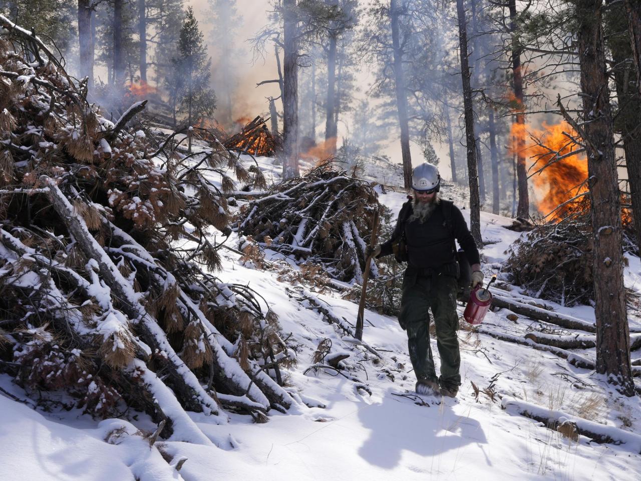 Trump wants states to clean up forests to stop wildfires. But his administration cut off funds