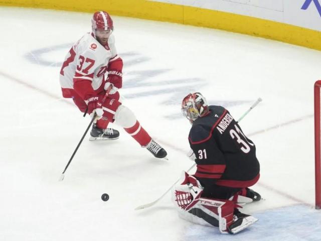 Martinook helps the Hurricanes top the Red Wings 2-1 :: WRALSportsFan.com