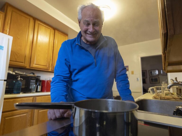 New stove that plugs into a normal wall outlet could be major gain for health and the climate