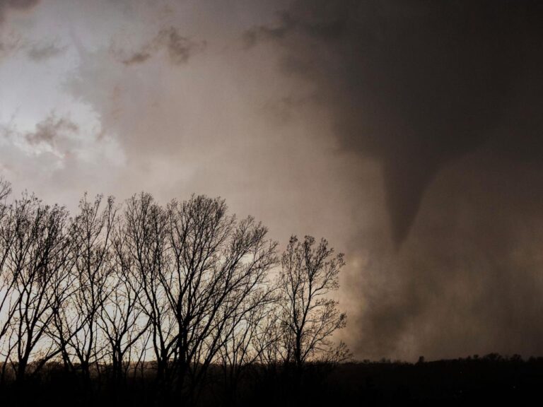 National Weather Service to resume translating its products for non-English speakers