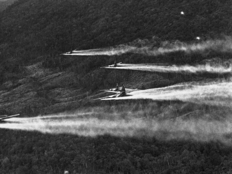 The Vietnam War ended 50 years ago, but the battle with Agent Orange continues