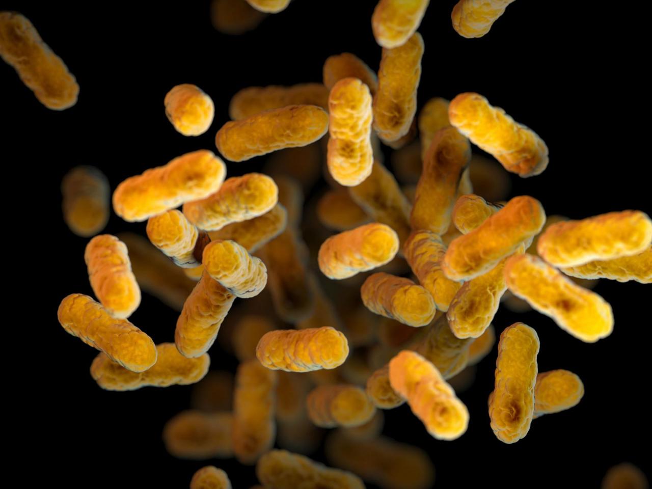 Whooping cough cases are rising again in the US
