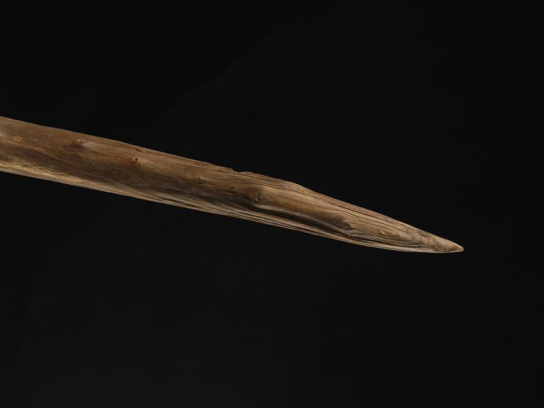 Ancient wooden spears found in Germany may have been wielded by Neanderthals, a new study suggests