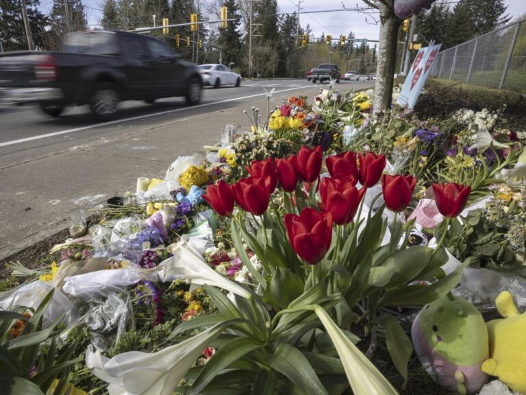 US states push for speed-limiting devices on the cars of dangerous drivers